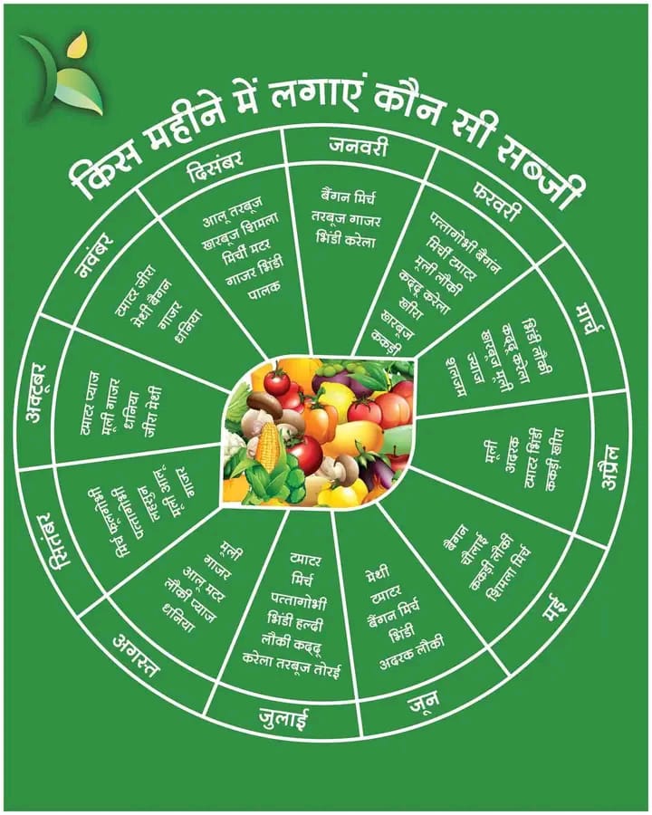 जानिए- किस सब्ज़ी को बोने और उगाने के लिए कौन सा माह है उपयुक्त