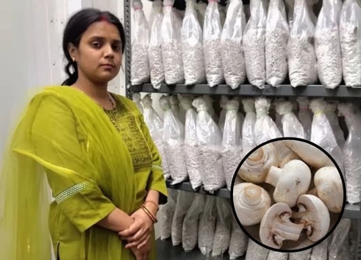 महज़ 120 रूपये से शुरू किया बिजनेस आज पहुंच गया है लाखों तक 