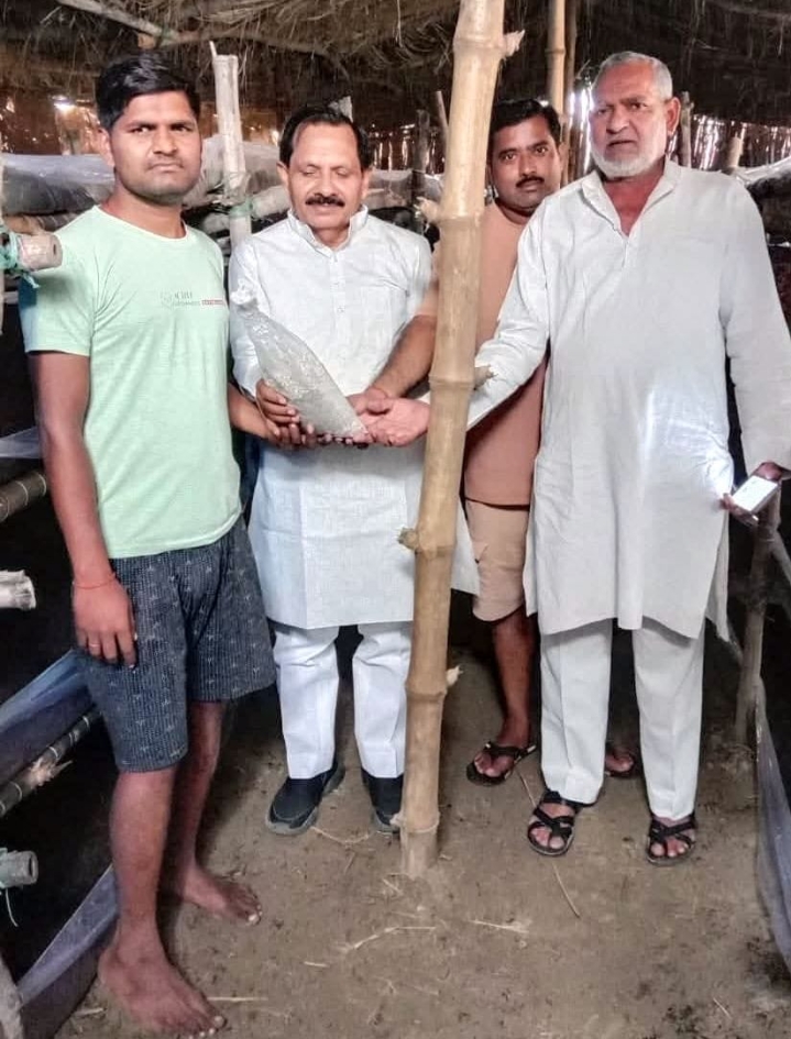 उन्नाव में आधुनिक खेती की नई मिसाल, मल्हन पुरवा के कुलदीप निषाद ने शुरू किया मशरूम फार्म